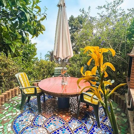 Canarian Cottage With Terrace Surrounded By Garden - Alisios La Orotava Dış mekan fotoğraf