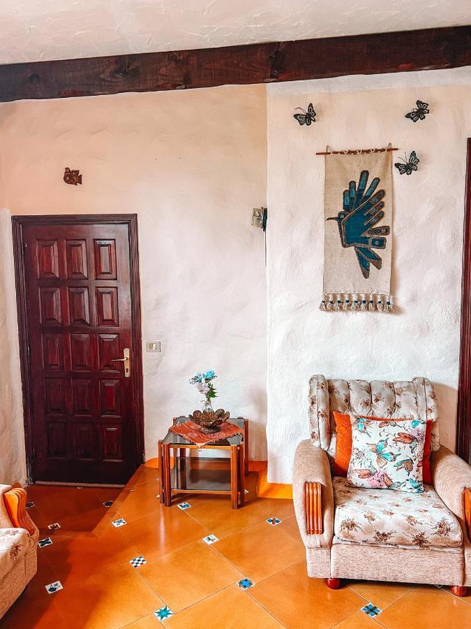 Canarian Cottage With Terrace Surrounded By Garden - Alisios La Orotava Dış mekan fotoğraf