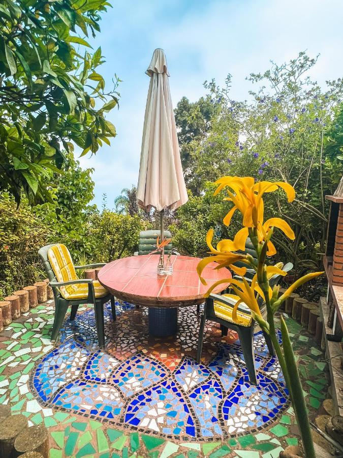Canarian Cottage With Terrace Surrounded By Garden - Alisios La Orotava Dış mekan fotoğraf