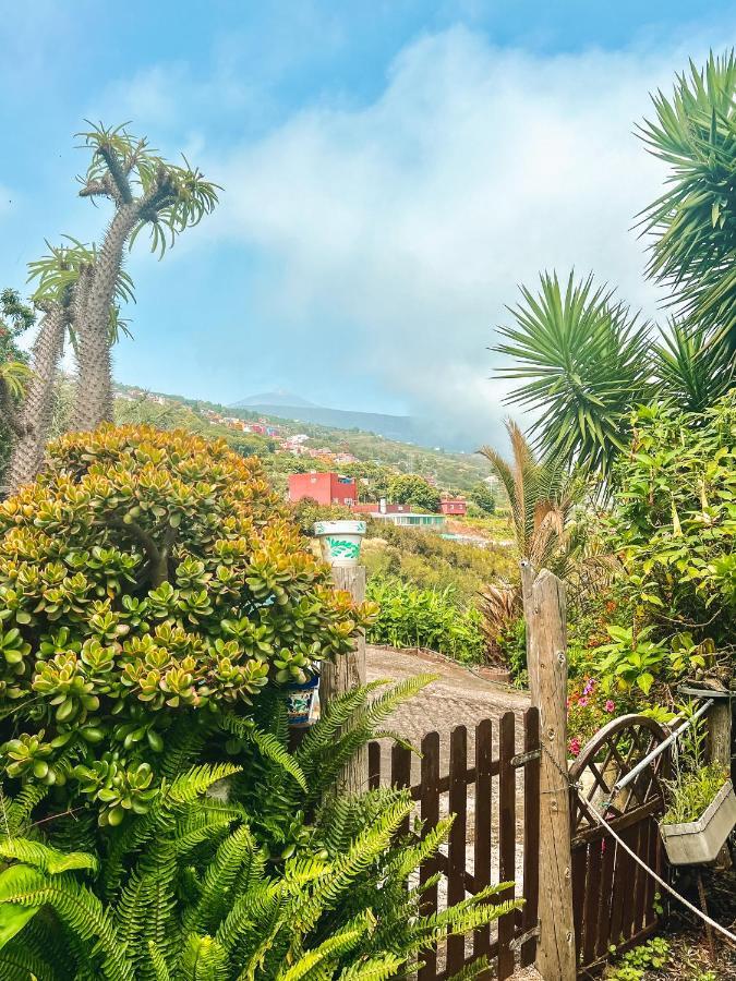 Canarian Cottage With Terrace Surrounded By Garden - Alisios La Orotava Dış mekan fotoğraf