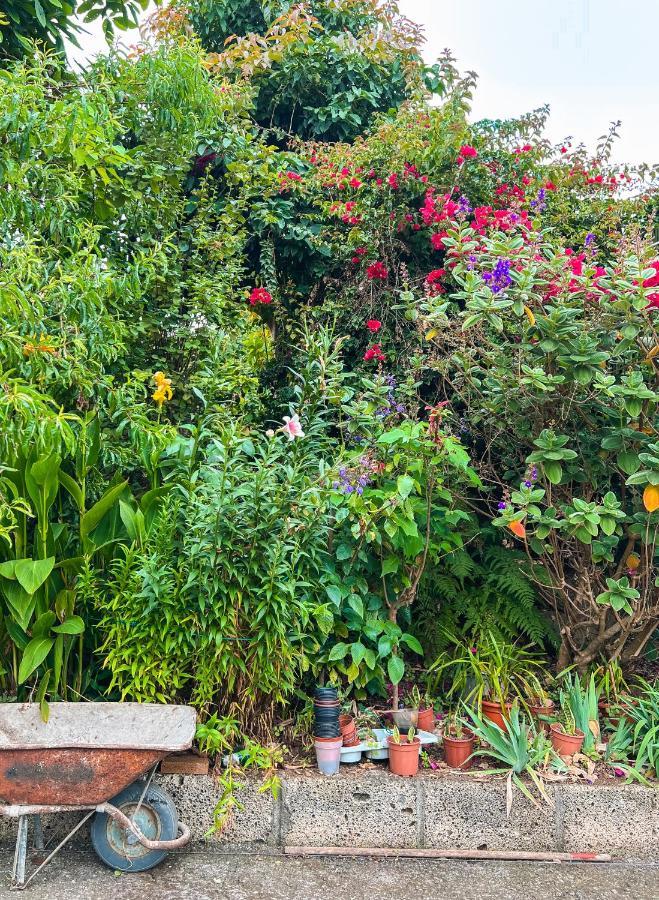 Canarian Cottage With Terrace Surrounded By Garden - Alisios La Orotava Dış mekan fotoğraf