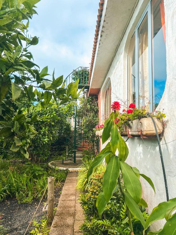 Canarian Cottage With Terrace Surrounded By Garden - Alisios La Orotava Dış mekan fotoğraf