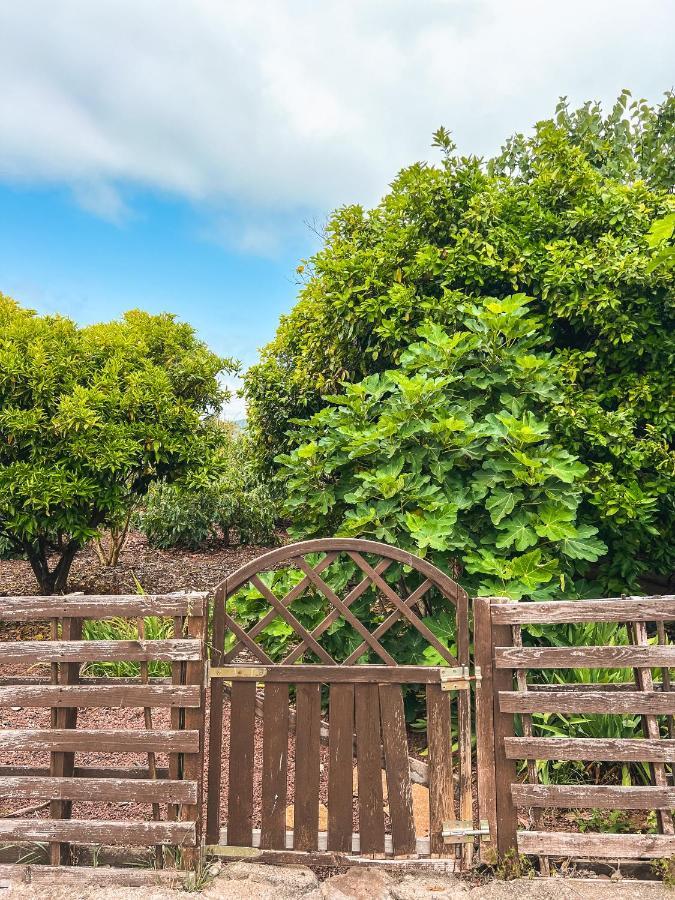 Canarian Cottage With Terrace Surrounded By Garden - Alisios La Orotava Dış mekan fotoğraf