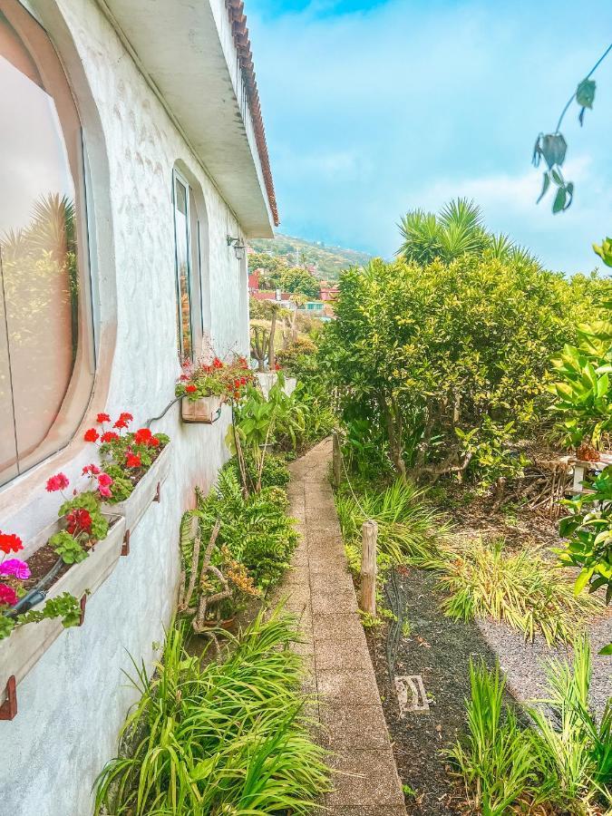 Canarian Cottage With Terrace Surrounded By Garden - Alisios La Orotava Dış mekan fotoğraf